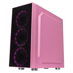 Xtreme PC Gaming Geforce RTX 3060 Intel Core I7 10700F 16GB SSD 500GB 2TB WIFI Pink