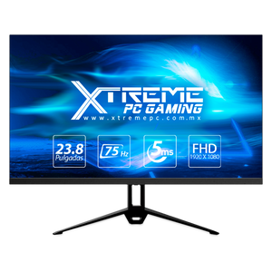 Xtreme PC Gamer AMD Radeon Vega Renoir Ryzen 5 4600G 8GB SSD Monitor 23.8 WIFI