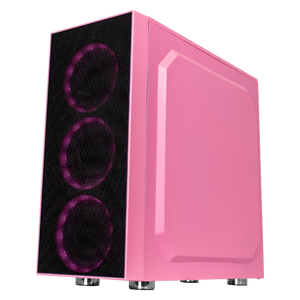Xtreme PC Gaming AMD Radeon RX 6500 XT Ryzen 5 5600X 16GB SSD 250GB 2TB WIFI Pink
