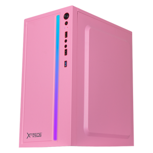 Xtreme PC Gaming AMD Radeon Vega Renoir Ryzen 5 4600G 16GB SSD 500GB Monitor 23.8 WIFI Pink
