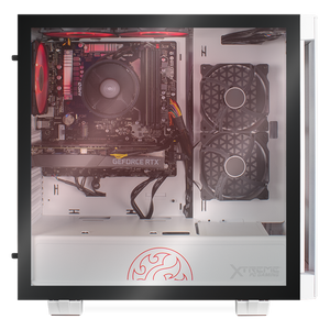 Xtreme PC Gamer Geforce RTX 3060 Ryzen 5 3600 16GB SSD 480GB 1TB WIFI